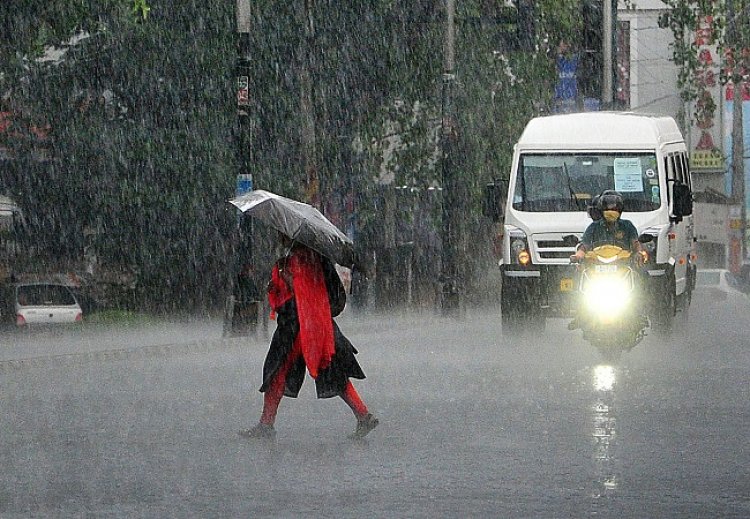 Rain Alert | സംസ്ഥാനത്ത് കനത്ത മഴ തുടരും; നാല് ജില്ലകളില്‍ യെല്ലോ അലര്‍ട്ട്